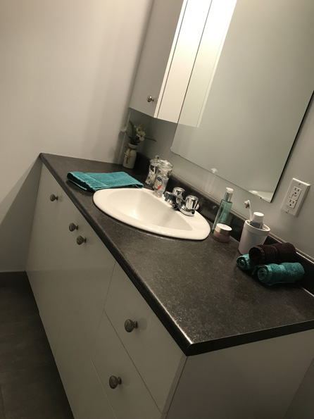 Appartement rénové entrée laveuse-sécheuse et lave-vaisselle