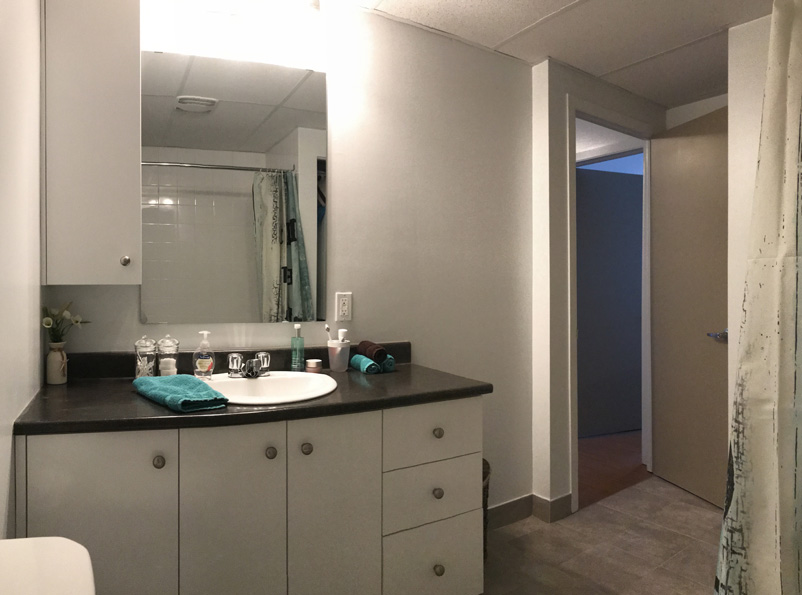 Appartement rénové entrée laveuse-sécheuse et lave-vaisselle