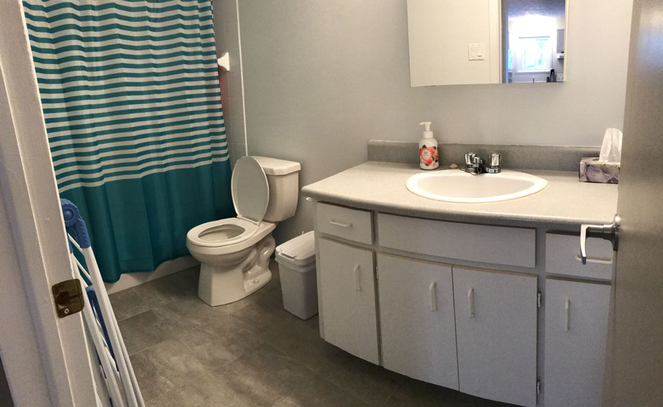 Appartement-3-demi-sherbrooke-a-louer