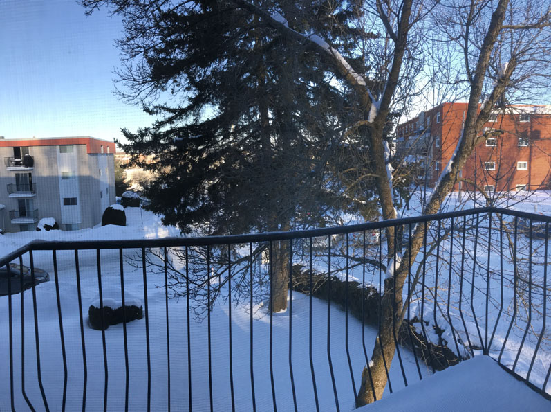 Appartement-3-demi-sherbrooke-a-louer